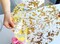 Disposable Gold Placemats Set of 24 Metallic Thin Round 13 Inch Gold Foil Mesh Pressed Fall Table Mates 24 Pack Gold Doilies for Wedding Birthday Party